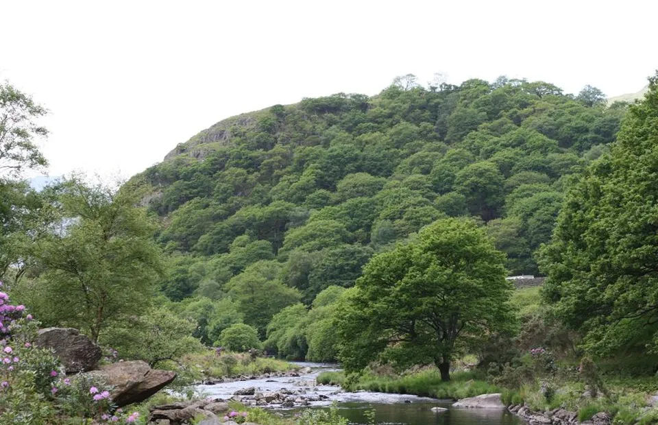 Dinas Emrys, Beddgelert
