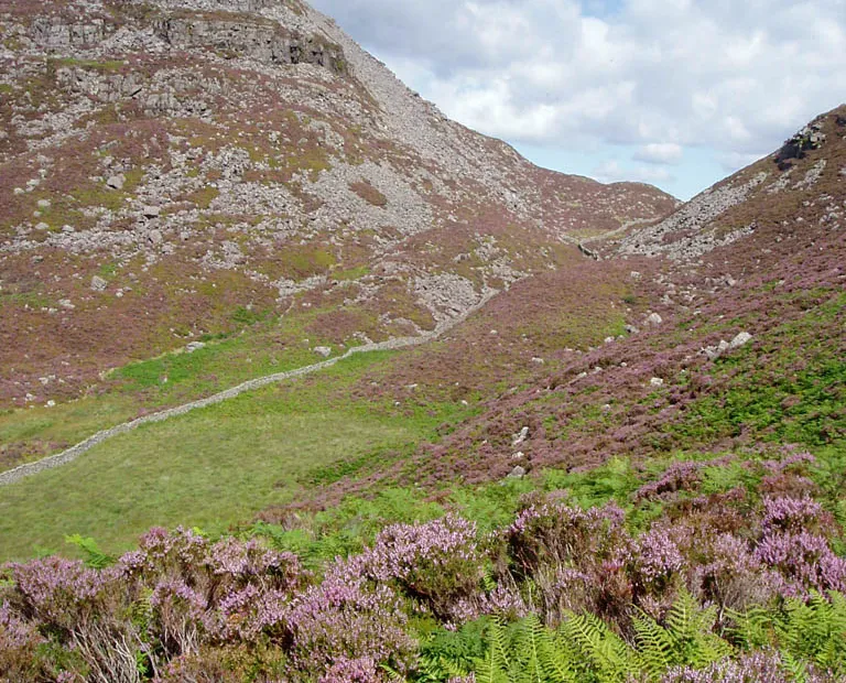 Roman Steps & Cwm Bychan, Rhinogydd